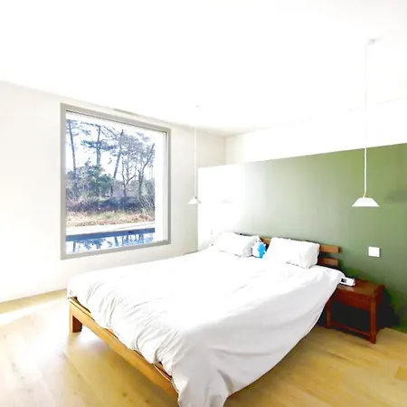 Sstunning Contemporary Villa Messanges *